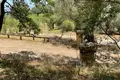 Atterrir 1 chambre  Períthia, Grèce