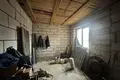 Ferienhaus 160 m² Orscha, Belarus