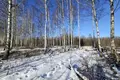 Land 1 700 m² Skultes pagasts, Latvia