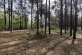 Grundstück 6 536 m² Gizalki, Polen