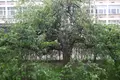 Appartement 2 chambres 48 m² Varsovie, Pologne