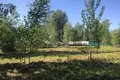 Działki  Bialarucki sielski Saviet, Białoruś