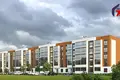 Квартира 2 комнаты 60 м² Островец, Беларусь