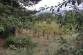 6 bedroom villa 6 000 m² Tosya, Turkey