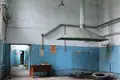 Propriété commerciale 14 593 m² à Borshchi, Ukraine