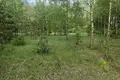 Parcelas  Pogorzalki, Polonia