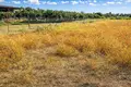 Grundstück 34 500 m² Kassandrino, Griechenland