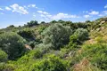Atterrir 11 000 m² Megali Panagia, Grèce