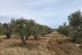 Działki 1 pokój  Paralia Dionisiou, Grecja