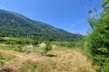 Działki 42 253 m² Mihalj, Chorwacja
