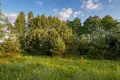 Parcelas 1 711 m² Jerzyn, Polonia