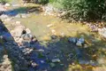 Domek Kuća 211 m² na Prodaju – Smailagića Polje, Kolašin