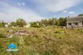 House 55 m² Barscouski sielski Saviet, Belarus