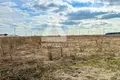 Atterrir  Ramensky District, Russie