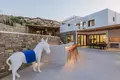 Villa 12 zimmer 215 m² Mykonos, Griechenland
