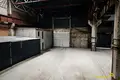 Commercial property 3 589 m² in Minsk, Belarus
