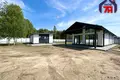 Cottage 85 m² Krasnadvorski sielski Saviet, Belarus