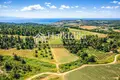 Atterrir 18 780 m² Siviri, Grèce