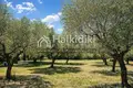 Atterrir 11 000 m² Nikiti, Grèce