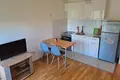 Studio apartment 25 m² Montenegro, Montenegro