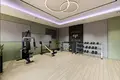 1 bedroom apartment 47 m² Demirtas Koyu, Turkey
