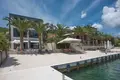 Willa 10 pokojów 1 200 m² Tivat, Czarnogóra
