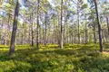 4 room house  Jurmala, Latvia