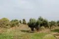 Atterrir 1 chambre  Kriopigi, Grèce