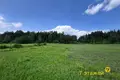 Appartement 35 m² Usiazski sielski Saviet, Bélarus