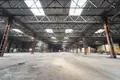 Склад 10 комнат 290 м² в Радошковичском сельском Совете, Беларусь