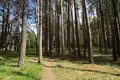 3 room apartment 68 m² Druskininkai, Lithuania