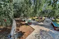 Propriété commerciale  à Skala Kallirachis, Grèce