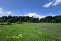 House 35 m² Usiazski sielski Saviet, Belarus