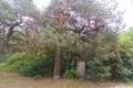 Haus 8 zimmer 350 m² Skorka, Polen