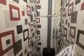 Wohnung 1 zimmer 33 m² Pruschany, Belarus