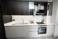 Duplex 4 bedrooms 162 m² Zeytinburnu, Turkey
