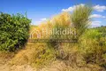 Parcelas 8 200 m² Nea Roda, Grecia