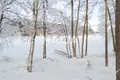Коттедж 3 комнаты 93 м² Jyvaskyla sub region, Финляндия