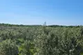 Шале 35 000 м² Город Ровинь, Хорватия