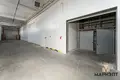 Warehouse 1 room 1 115 m² in Kalodziscanski sielski Saviet, Belarus