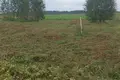 Atterrir  Zhabino, Russie