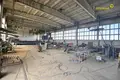 Manufacture 12 000 m² in Novalukoml, Belarus