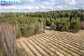 Land  Pavezupis, Lithuania