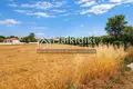 Parcelas 3 221 m² Nea Potidea, Grecia