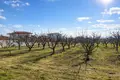 Atterrir 5 400 m² Nea Triglia, Grèce