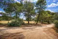 Atterrir 10 000 m² Neos Marmaras, Grèce