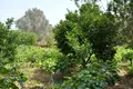 Земельные участки 1 комната 800 м² Dirfyon Messapion Municipality, Греция