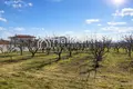 Parcelas 5 400 m² Nea Plagia, Grecia