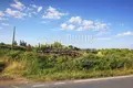 Parcelas 8 700 m² Nea Fokea, Grecia
