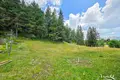 Villa 1 chambre 58 m² Zabljak, Monténégro
